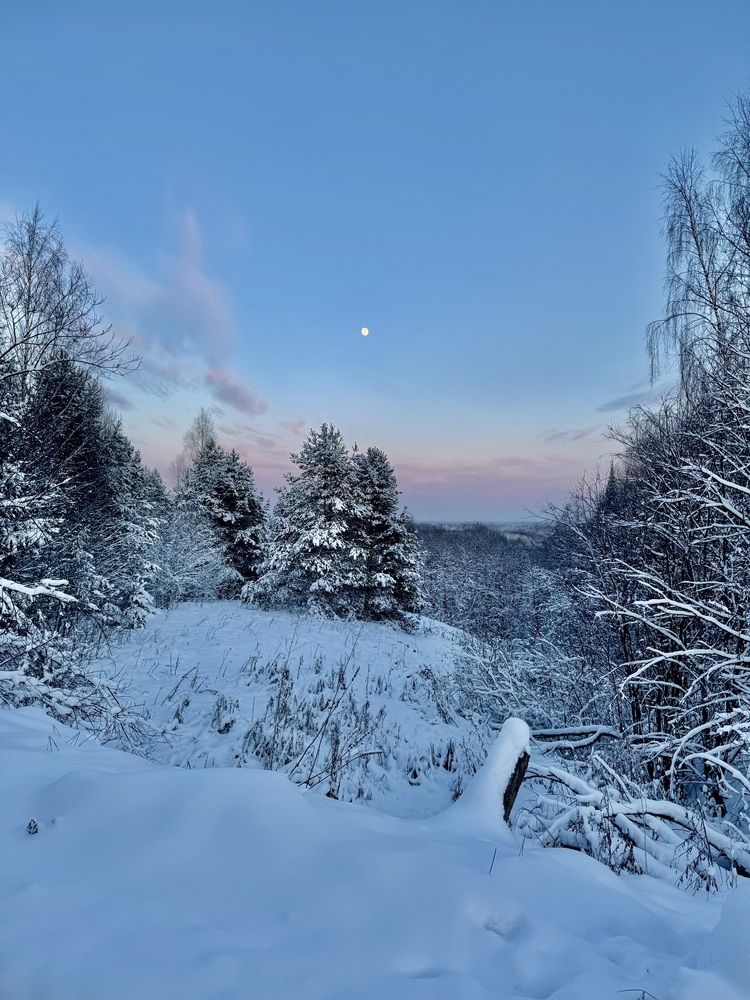 Вечернее полнолуние.