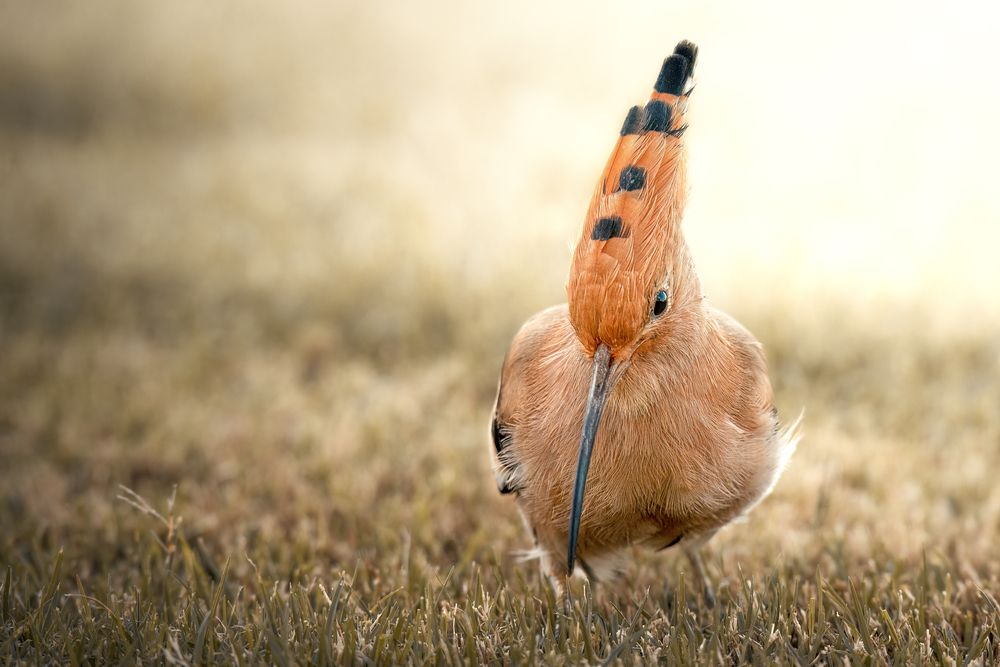 Фотография автора Aleksandr Solovev