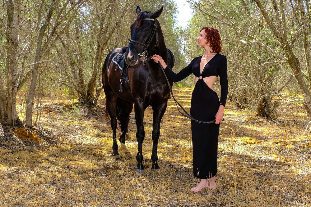 Фотография автора Dmitry