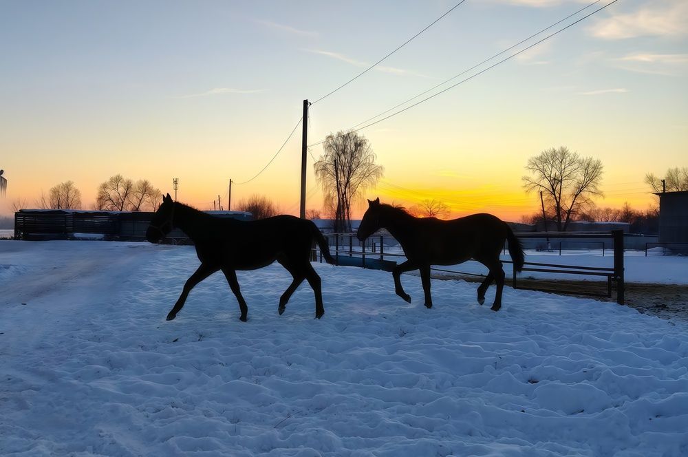 Photograph by Елена Сухорученкова