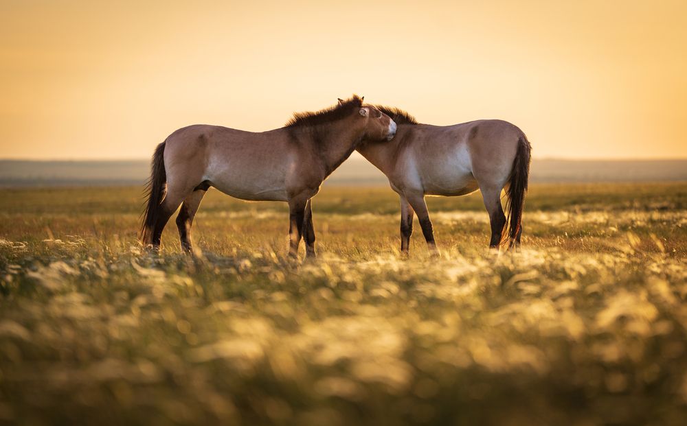 Photograph by Оксана Андросова