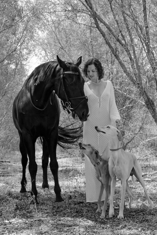 Фотография автора Dmitry