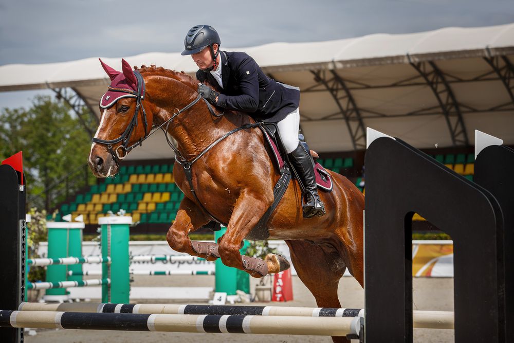 Фотография #13041440