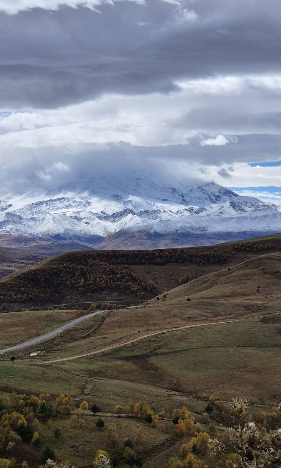 Photo #13041459