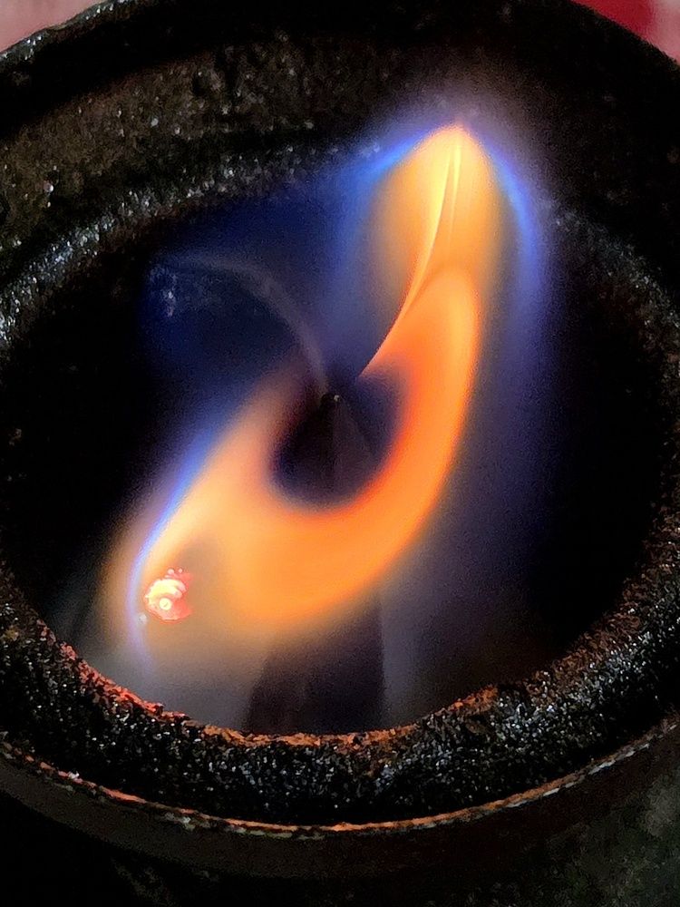 Фотография автора Elena Polonetskaya