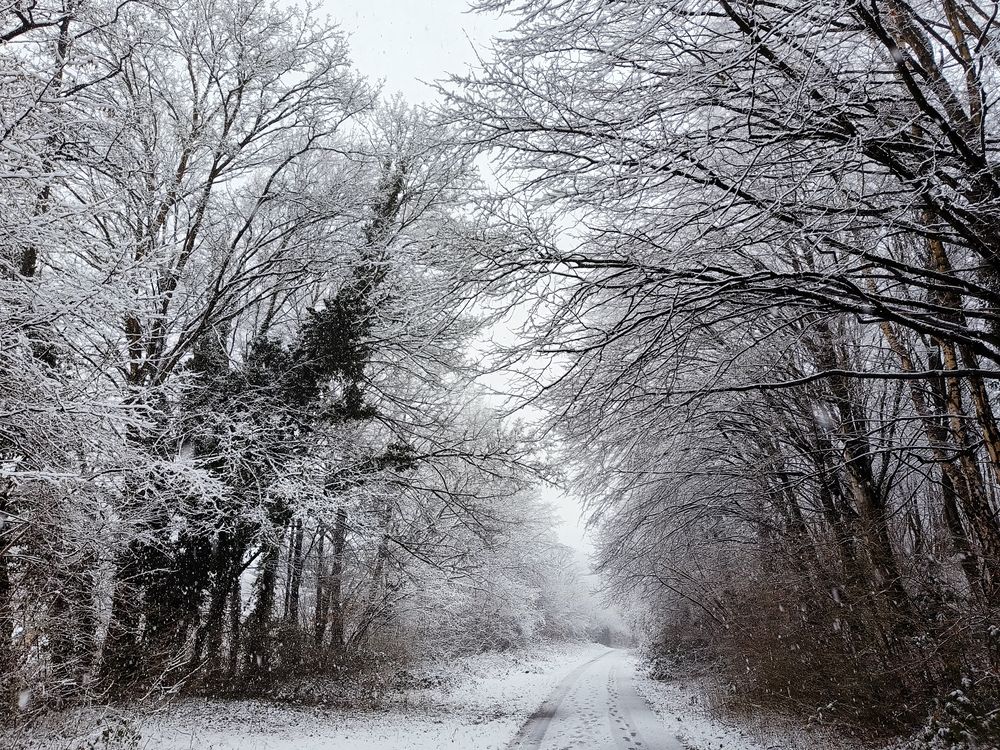 Photograph by Анна Лялина