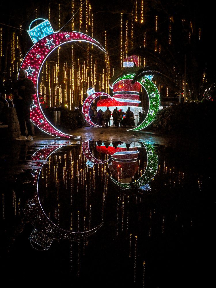 Фотография автора Camilo Rojas