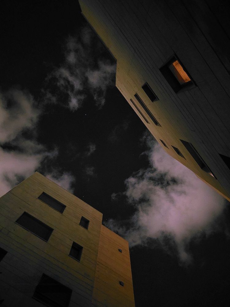 Photo #13041568