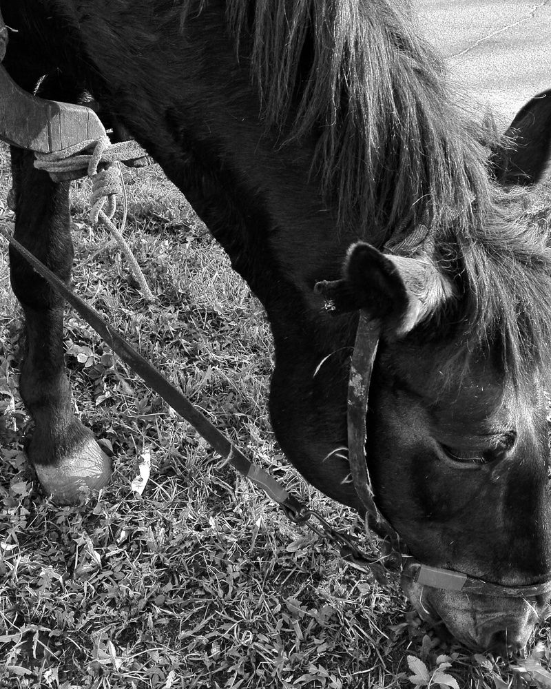 Photograph by Ия Дирко