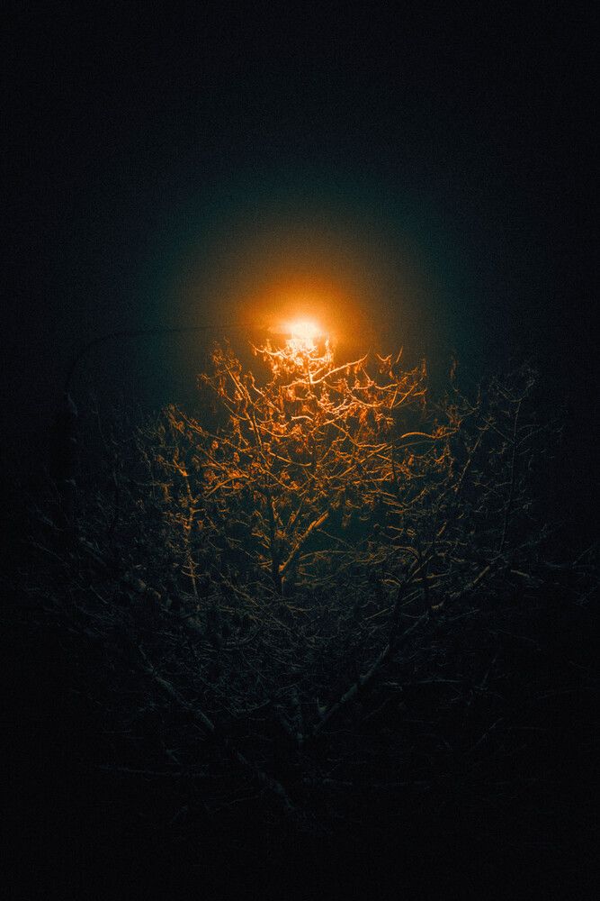 Photograph by Сергей Помелов