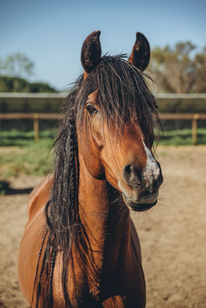 Photograph by Anna Vlasova