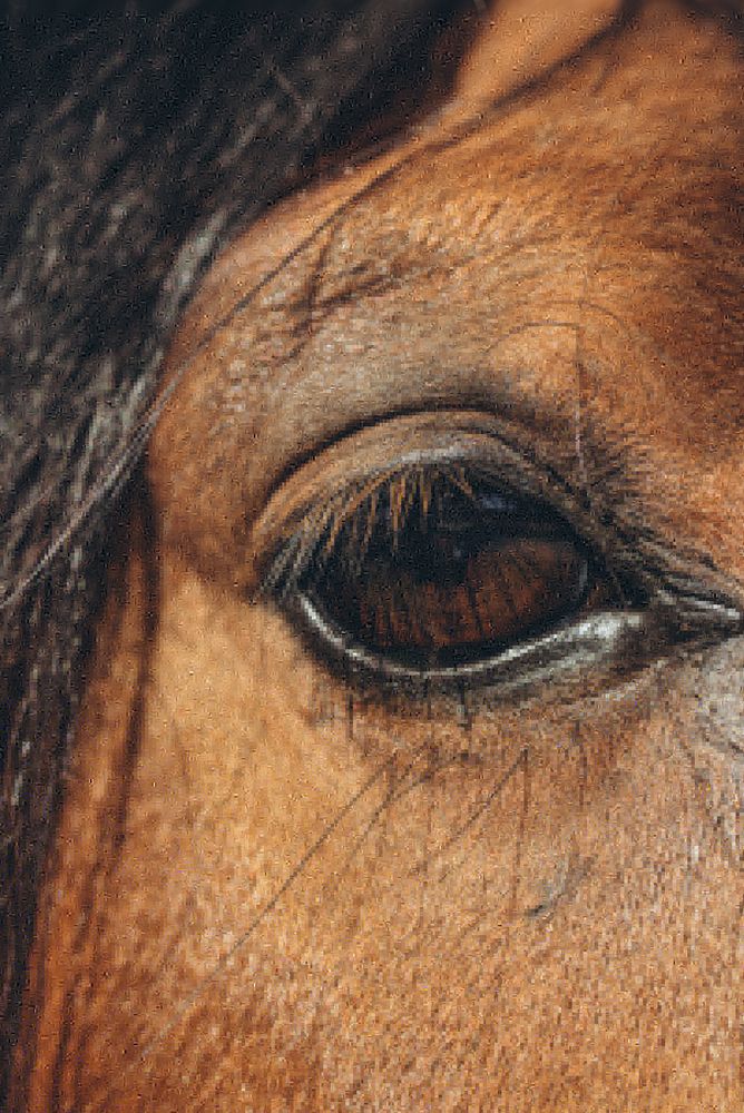 Photograph by Anna Vlasova