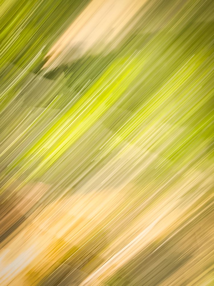 Photograph by BARBARA IVONNE MARTIN MILLAN