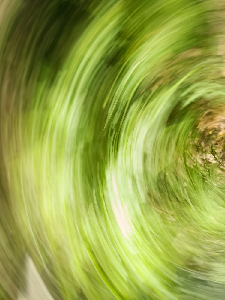 Photograph by BARBARA IVONNE MARTIN MILLAN