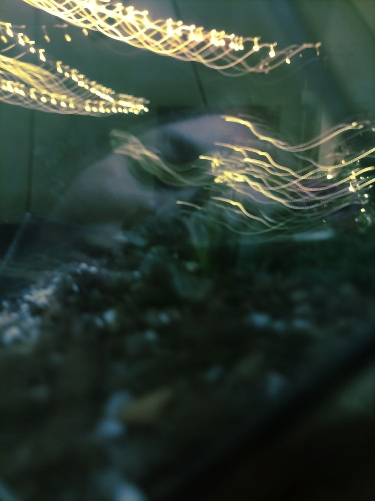 Photograph by Анна Нарышкина