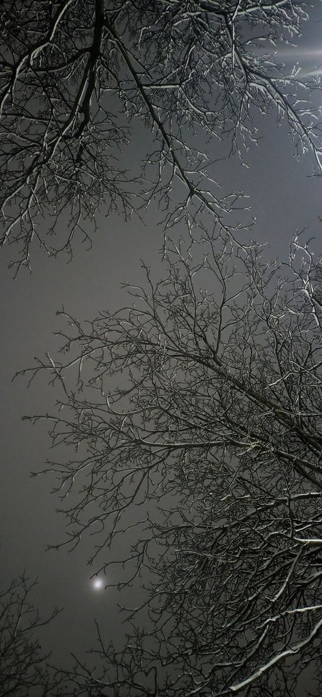 Photo #13041879
