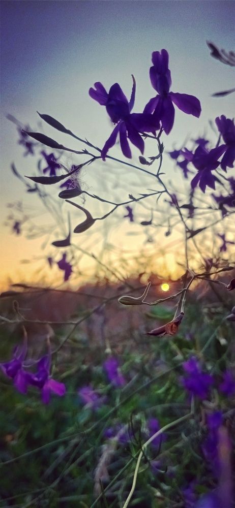 Photograph by Инна Базилева