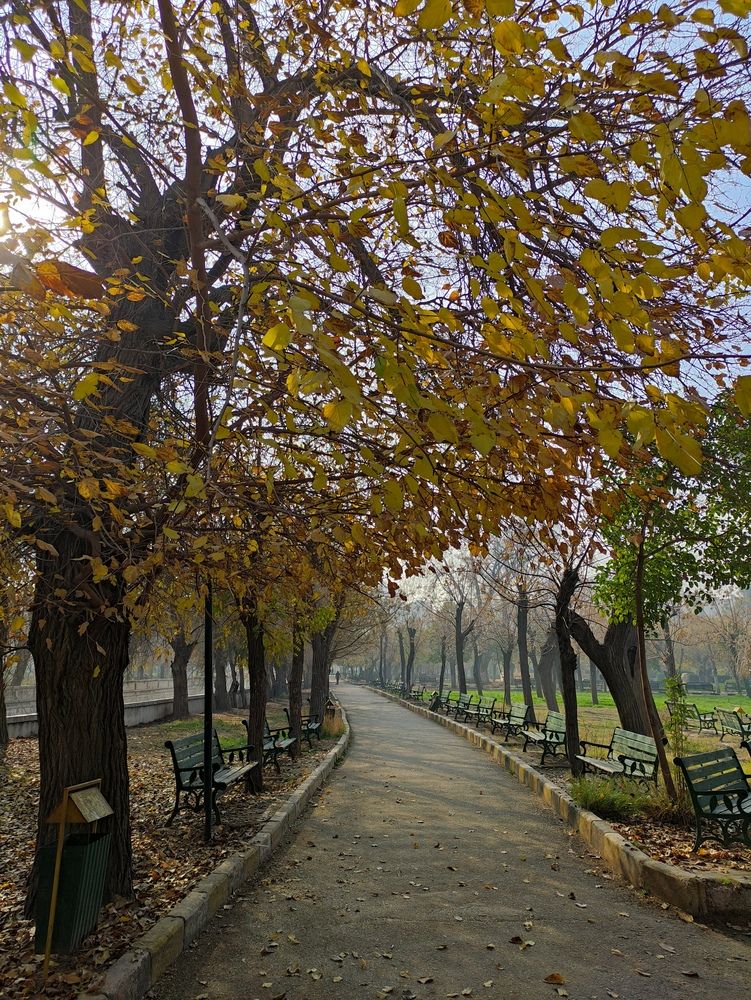 Photograph by Ahmad altounji