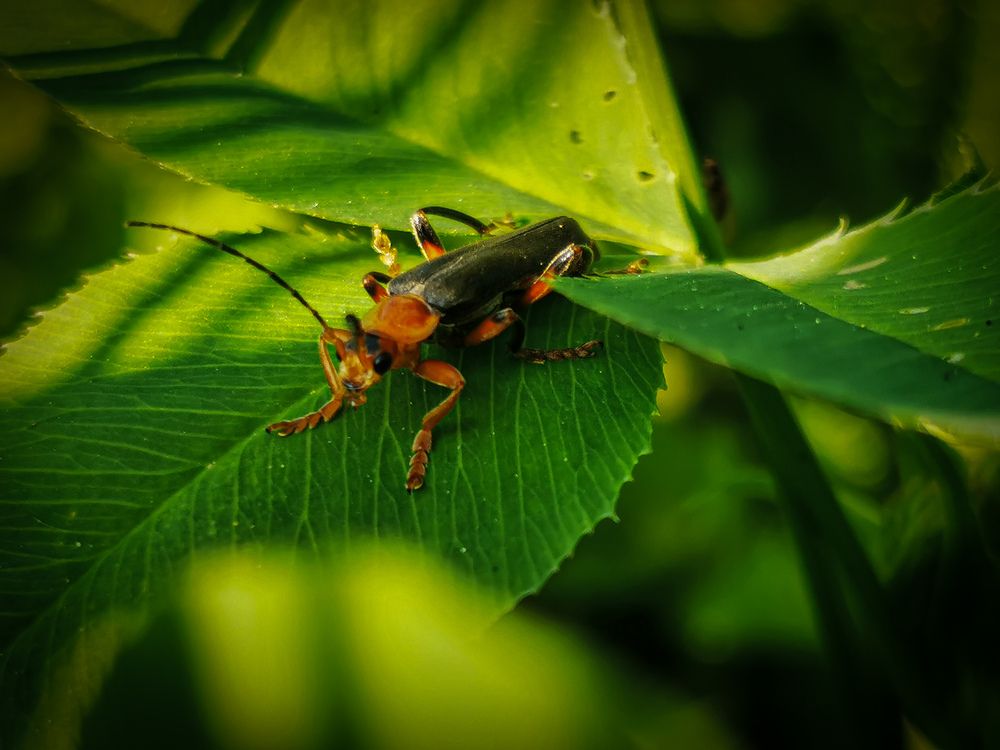 Photograph by Сергей Метлов