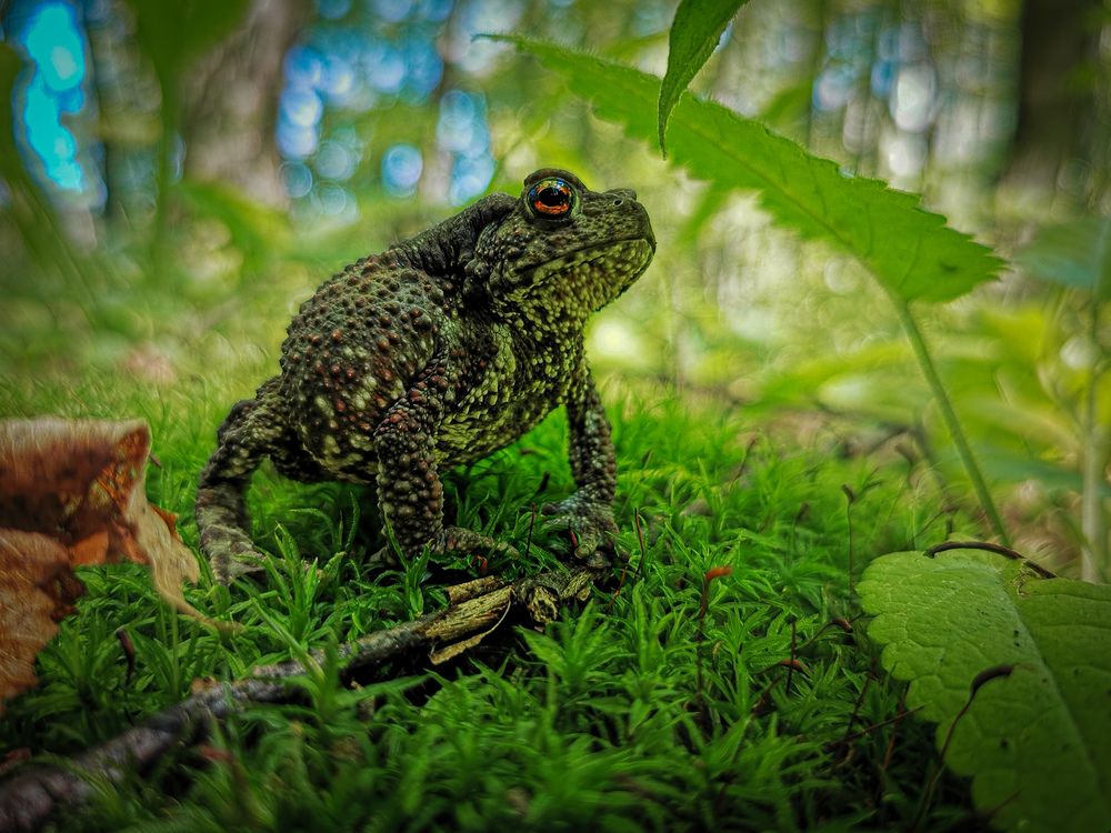 Photograph by Сергей Метлов