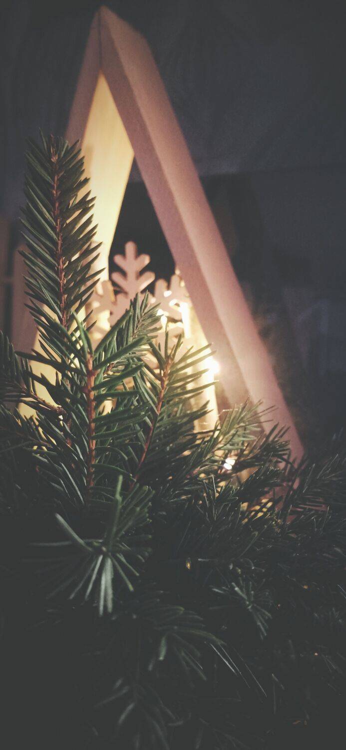 Photo #13041918