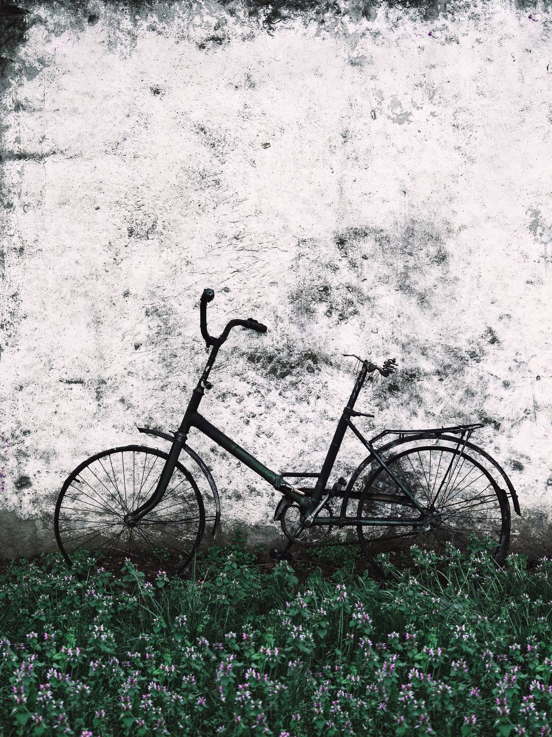 Фотография #13041932