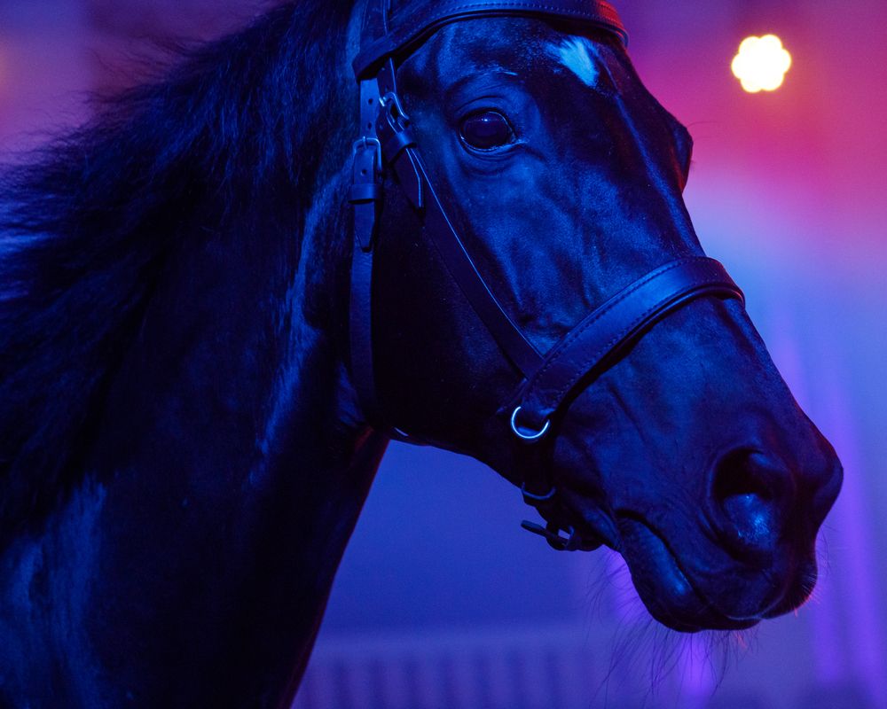 Photograph by Тоцкий Михаил