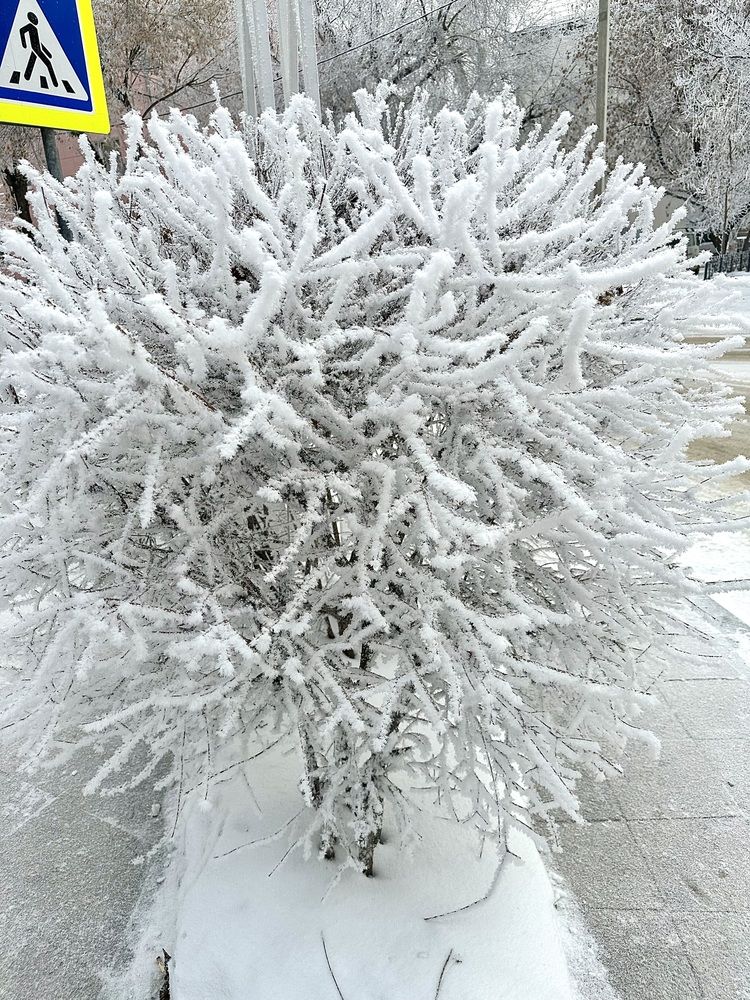 Photograph by Natalia Pecherskaia