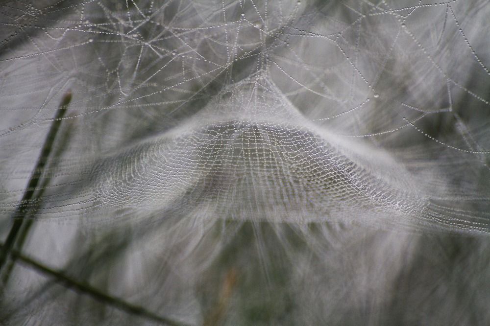 Photograph by Shifatul Islam