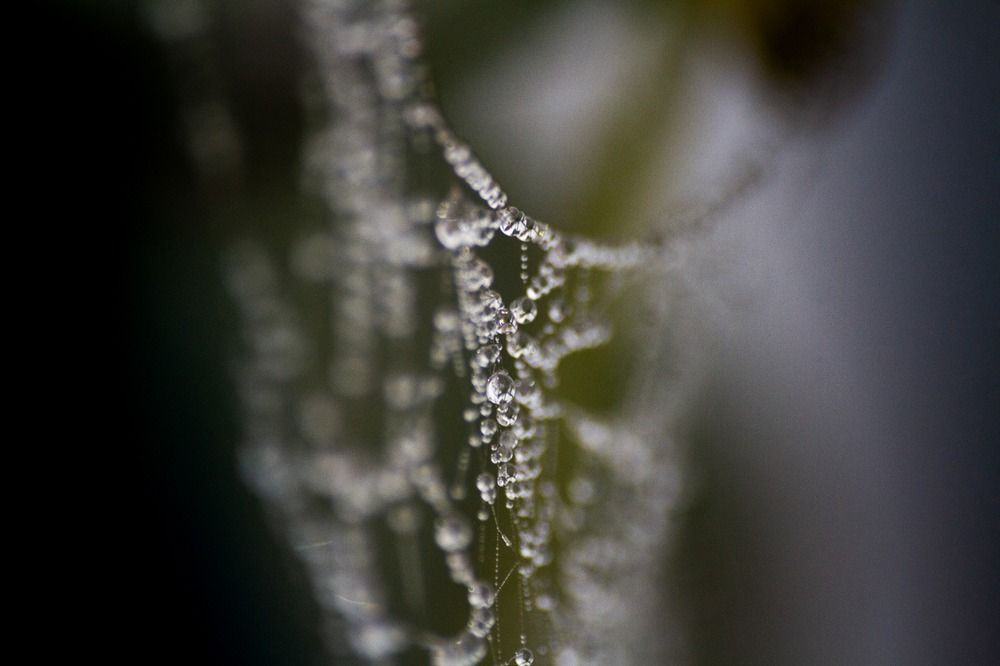 Winter Necklace