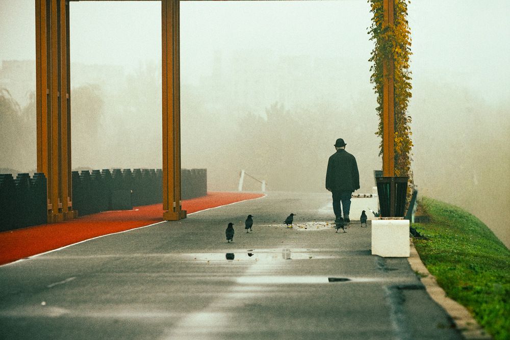 Photograph by iulian Micu