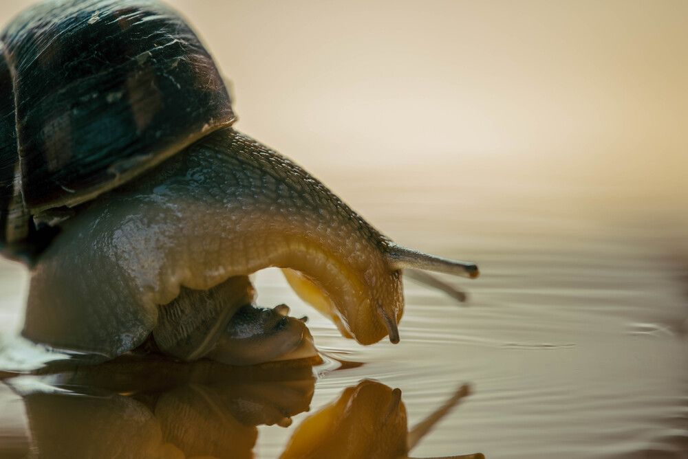 Фотография автора  Мария