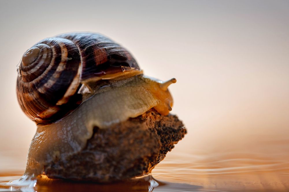 Фотография автора  Мария