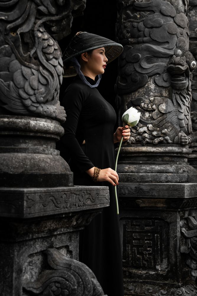 Photograph by Bao Nguyen