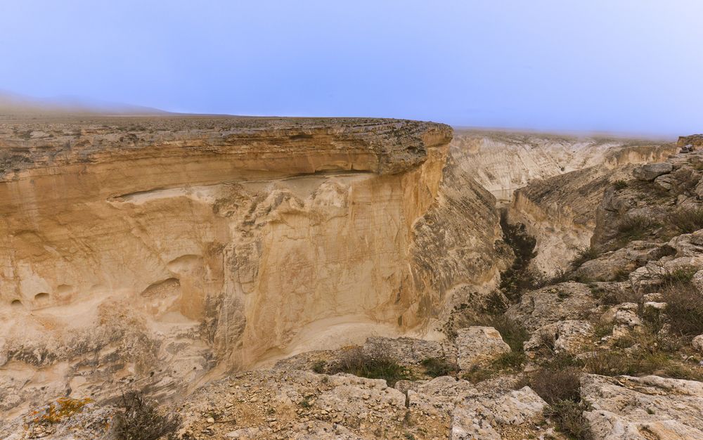 Photograph by галина лапшина