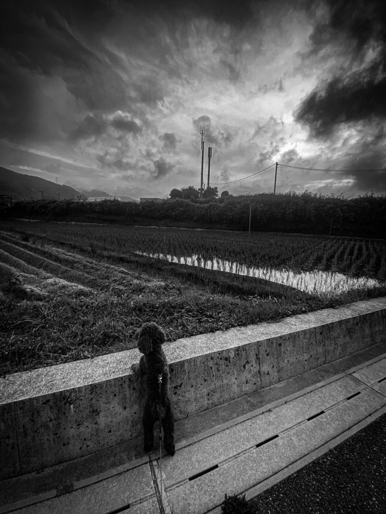 Фотография автора Mutsuaki