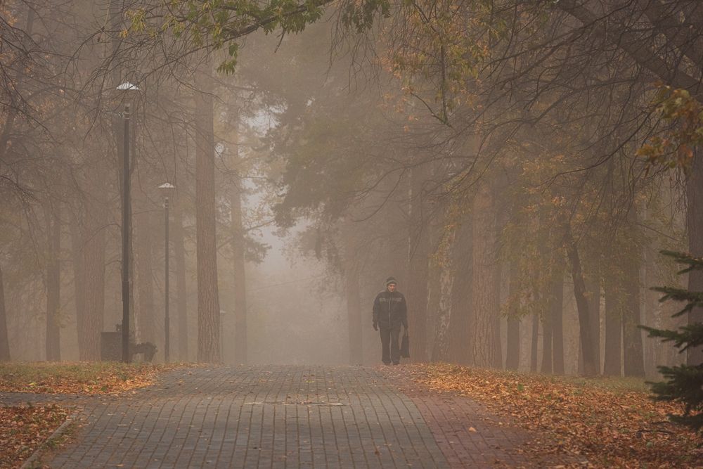 Photograph by Евгений Гецев