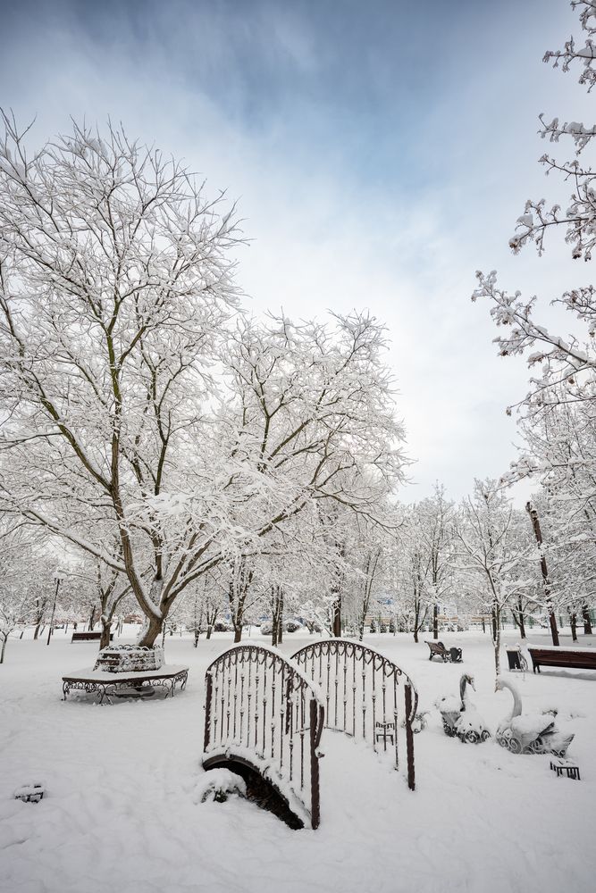 Photograph by Галина Григорьева