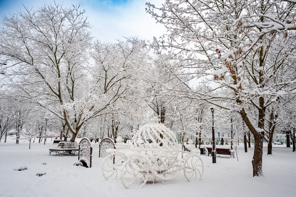 Photograph by Галина Григорьева