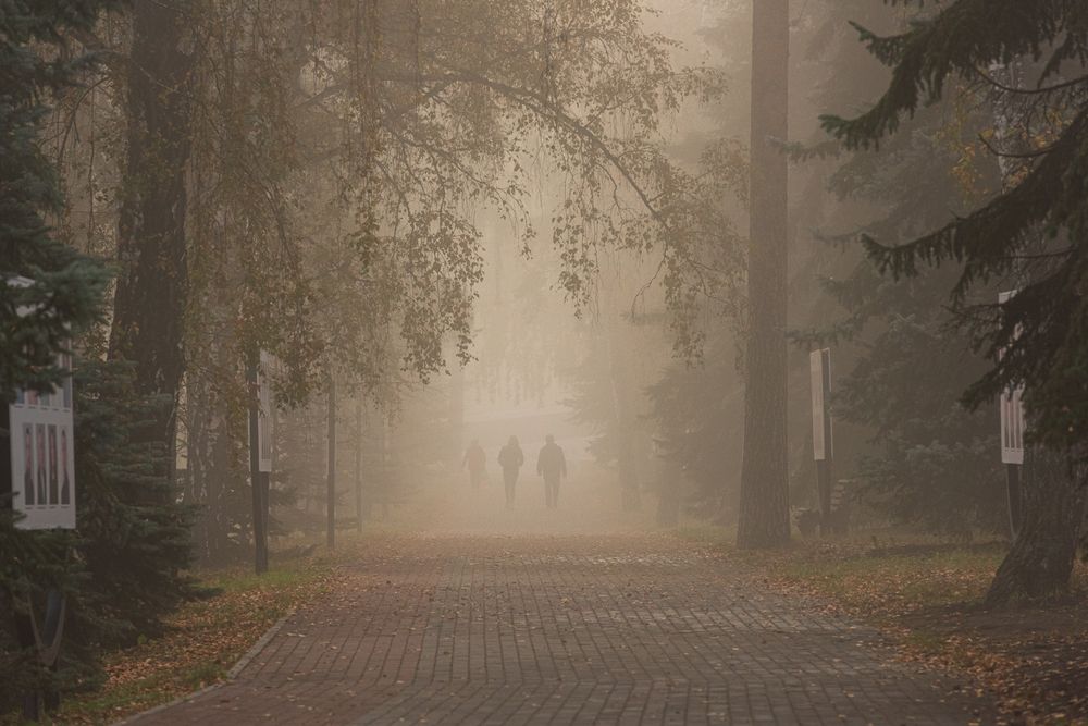 Photograph by Евгений Гецев