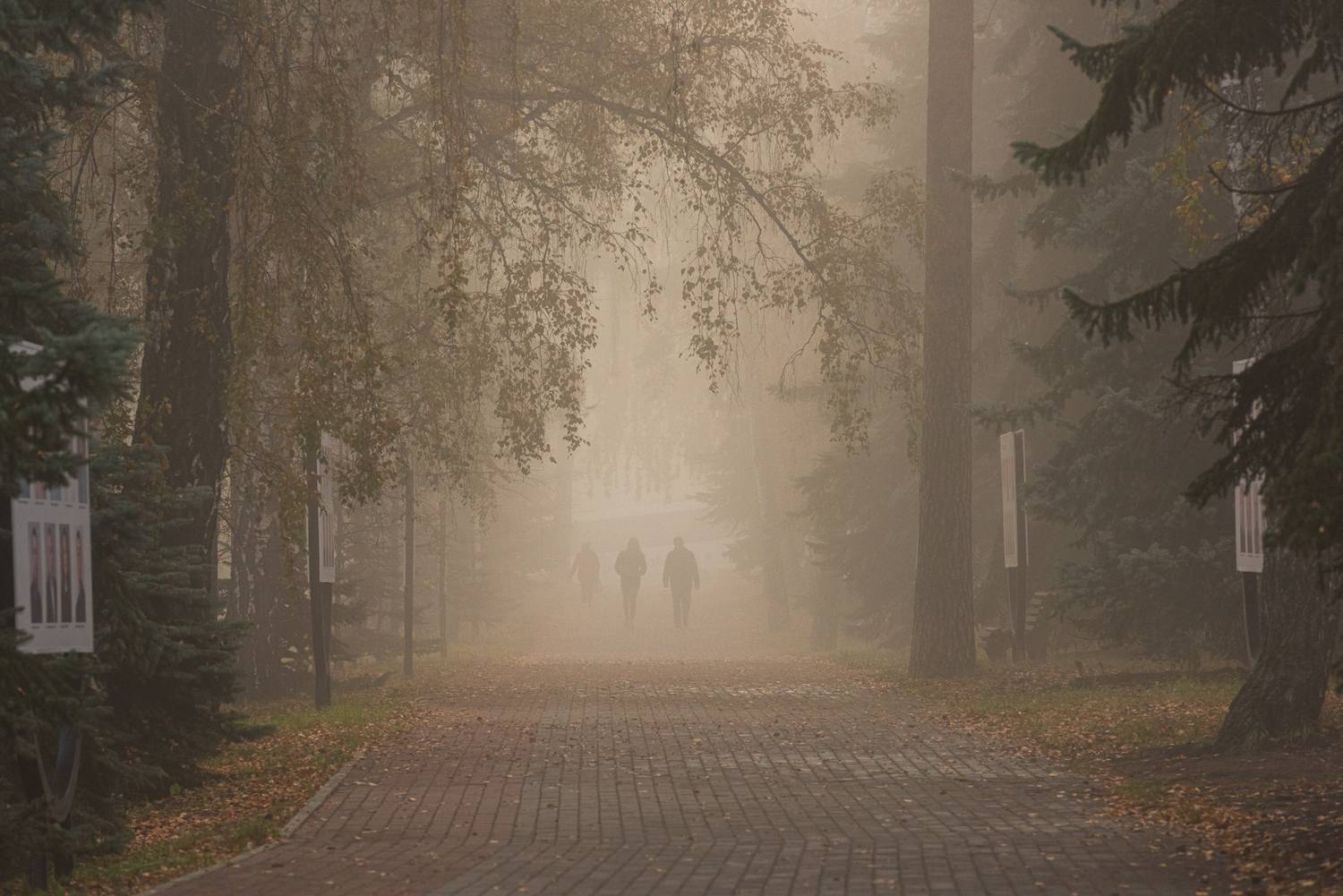 Фотография #13042270