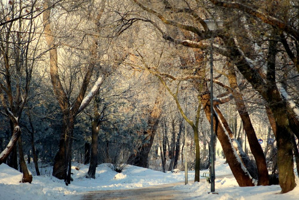 Photograph by Алексей Макаров