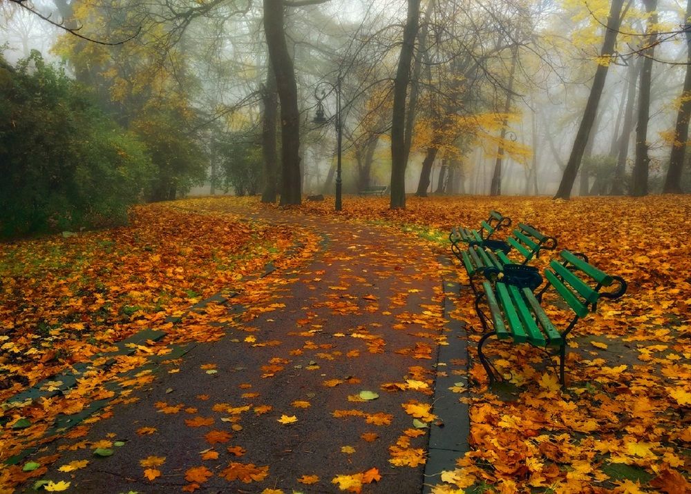 Photograph by Владимир