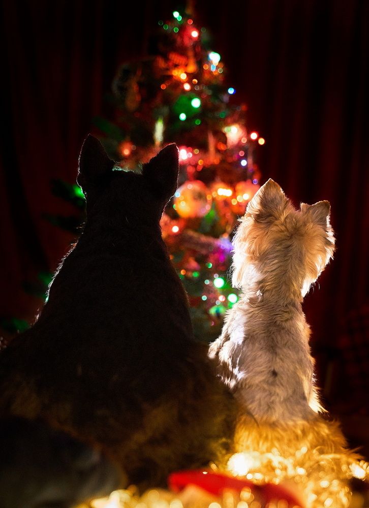 Photograph by Андрей Некрашевич