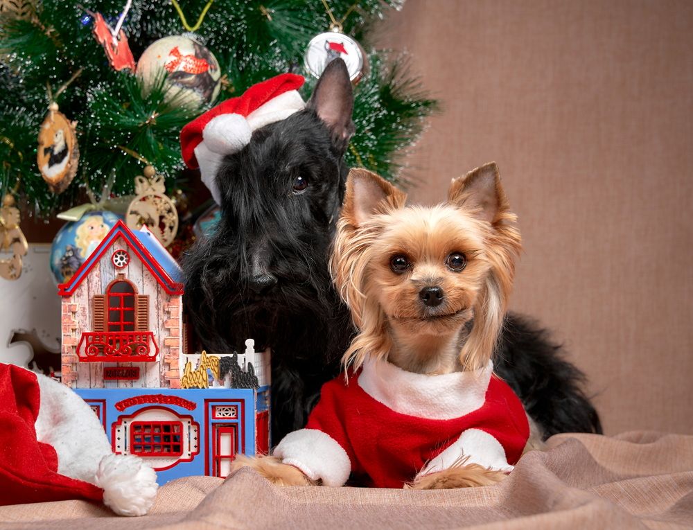 Photograph by Андрей Некрашевич