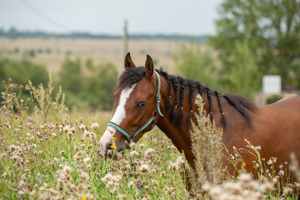 Фотография автора Алексей
