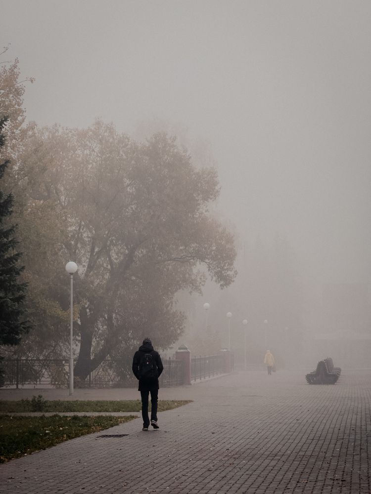 Фотография автора Анастасия Терехова