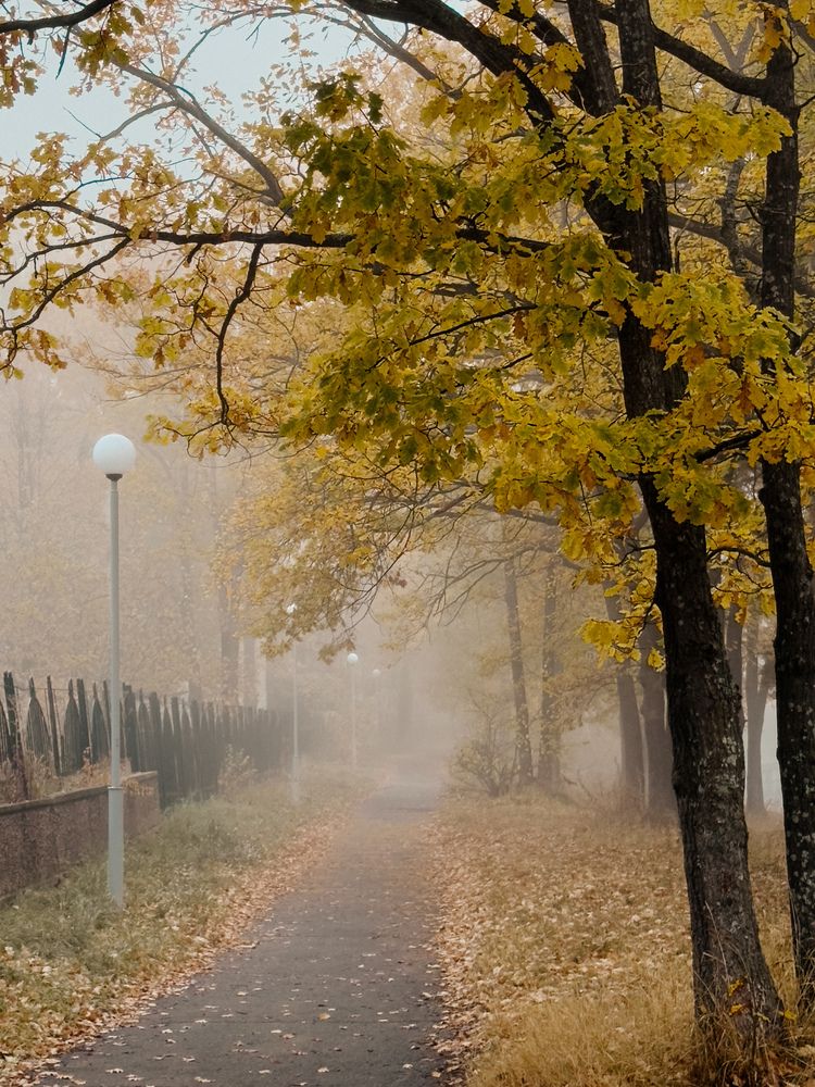 Фотография автора Анастасия Терехова