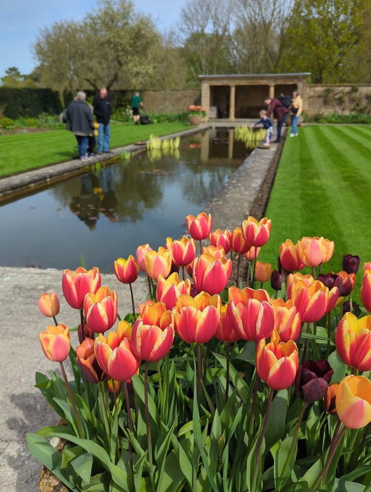 Фотография автора Ian Heard