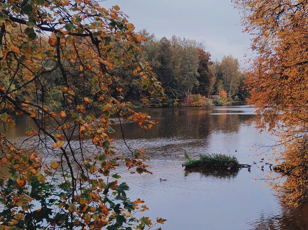 Photograph by Ольга Золотарева